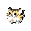 Kotora front sprite from Pokémon Monomyth