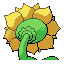 Sunflora back sprite from Pokémon Monomyth